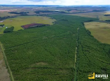 Fazenda à Venda em Água Doce com 100 alqueires.