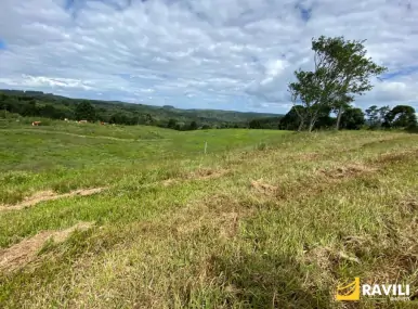 Exclusividade - Fazenda à Venda em Catanduvas.