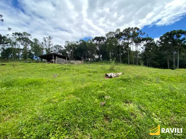 Exclusividade - Fazenda à Venda em Catanduvas.