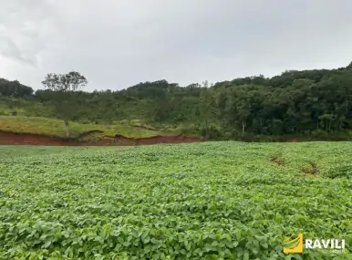 Exclusividade - Fazenda à Venda em Água Doce-SC.